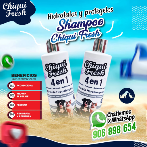 Copia de seguridad de NUEVO PDP