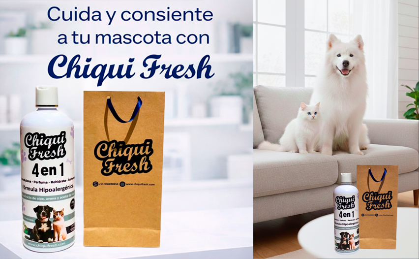 para web blohg