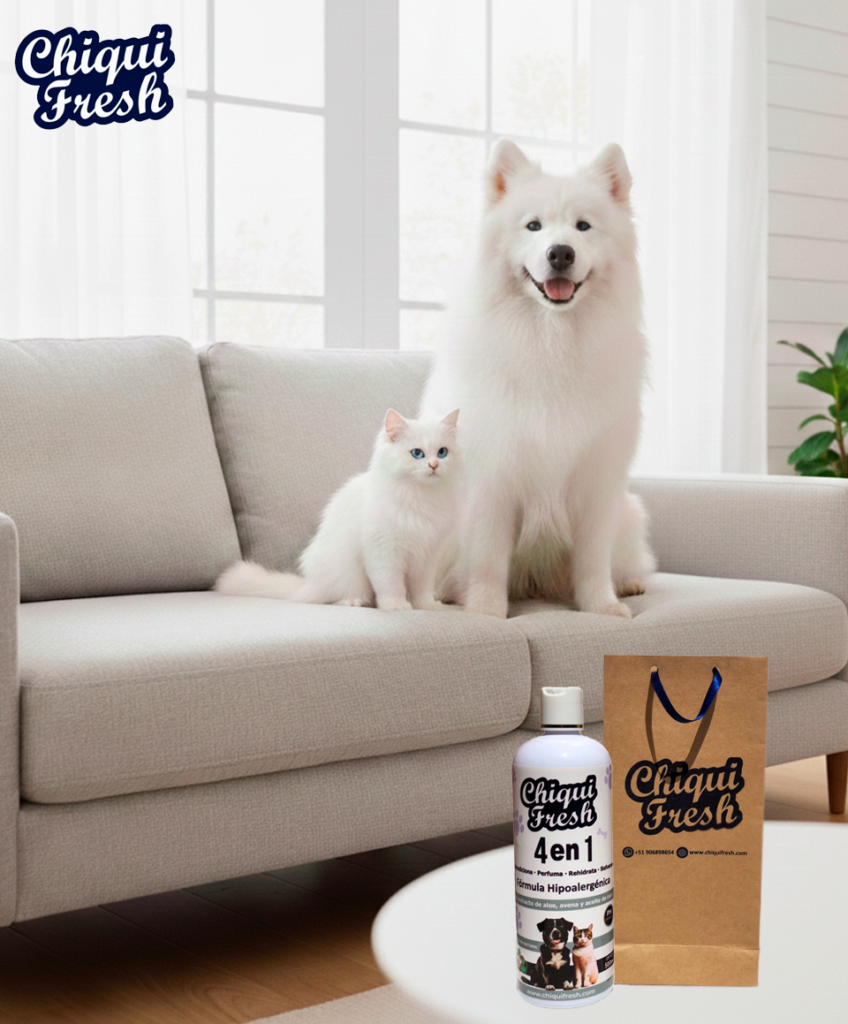 perro blanco 2
